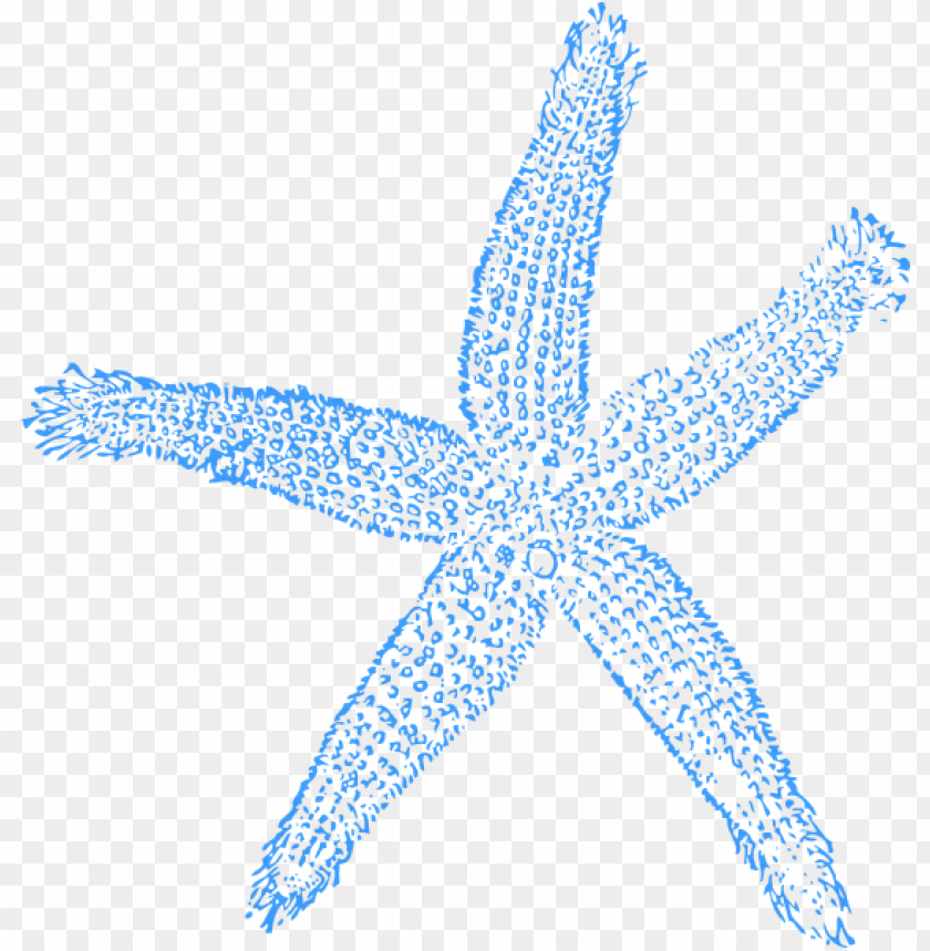 clip art at clker com vector online - blue starfish clip art PNG image with transparent background@toppng.com