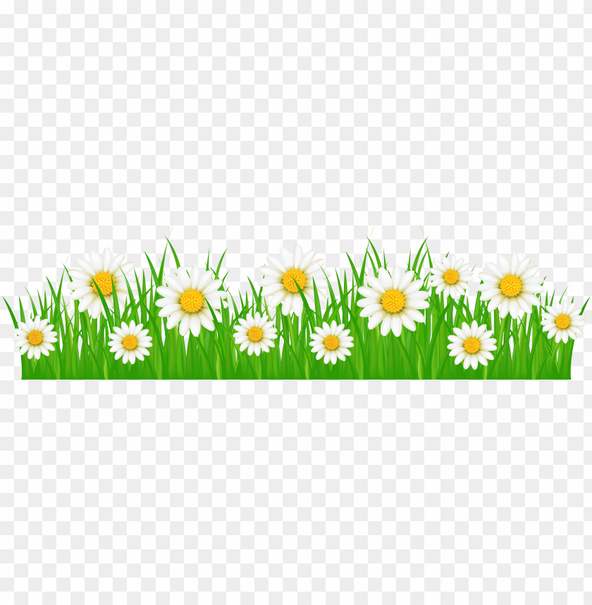 sun clip art, floral, plant, roses, isolated, wedding, lawn