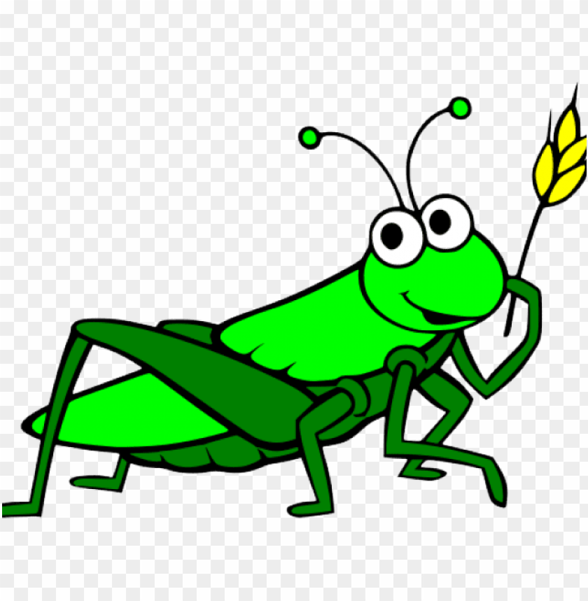 clip freeuse download grasshopper clipart cartoon - grasshopper clipart PNG  image with transparent background | TOPpng