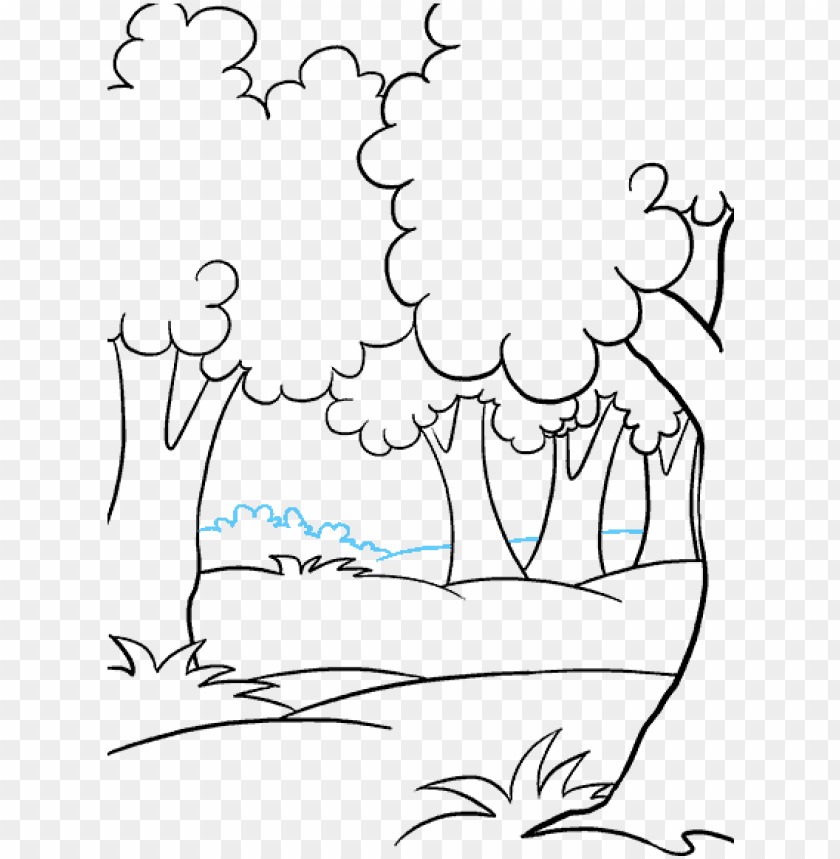 clip freeuse stock how to draw a cartoon forest in - drawing of a forest  PNG image with transparent background | TOPpng
