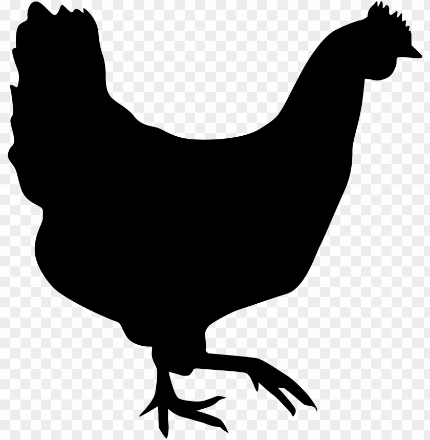 clip transparent library chicken silhouette clipart - fat chicken silhouette PNG image with transparent background@toppng.com