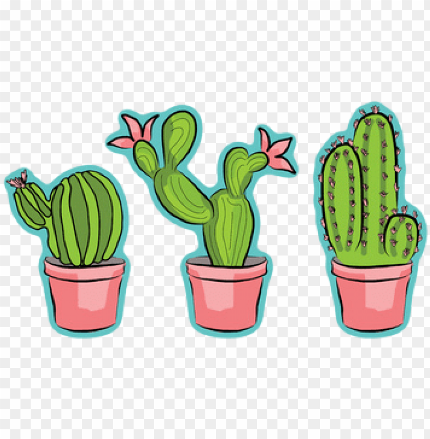 Cactus clipart png images
