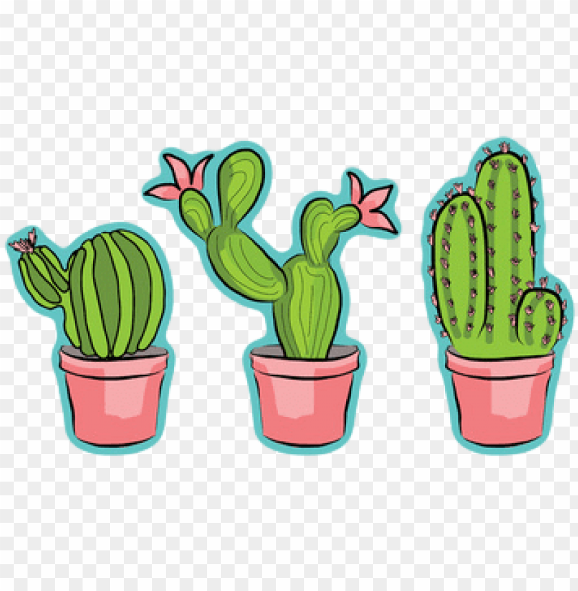 Succulents Cartoon / The pin features an adorable cactus with a funny