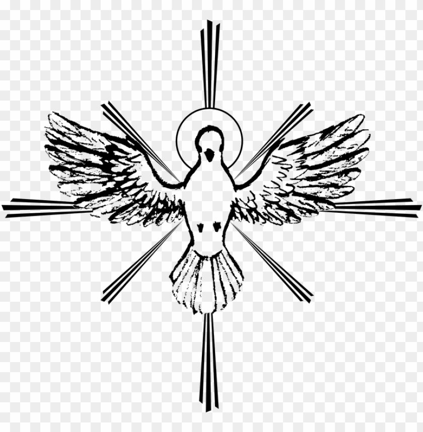 holy dove clip art