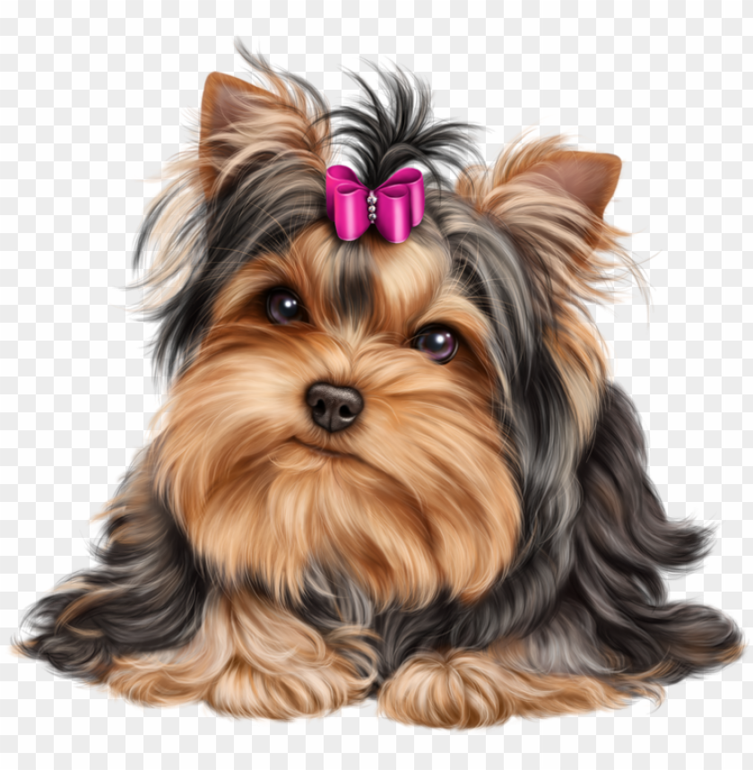illustration, dog, yorkshire terrier, puppy, america, pet, ampersand