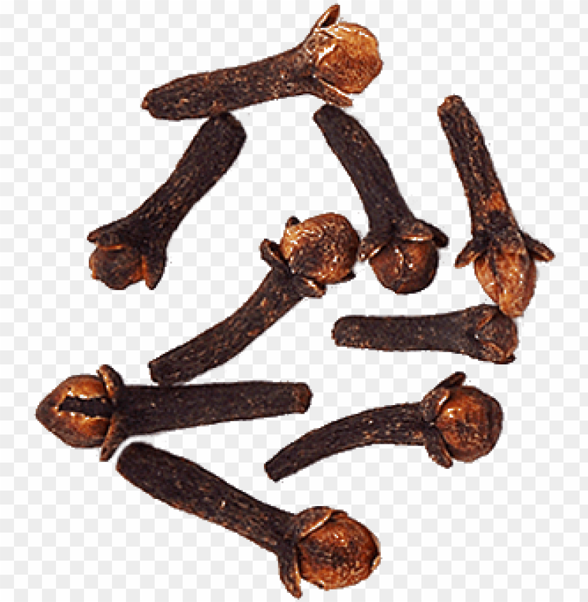 Cloves Wood PNG Image With Transparent Background