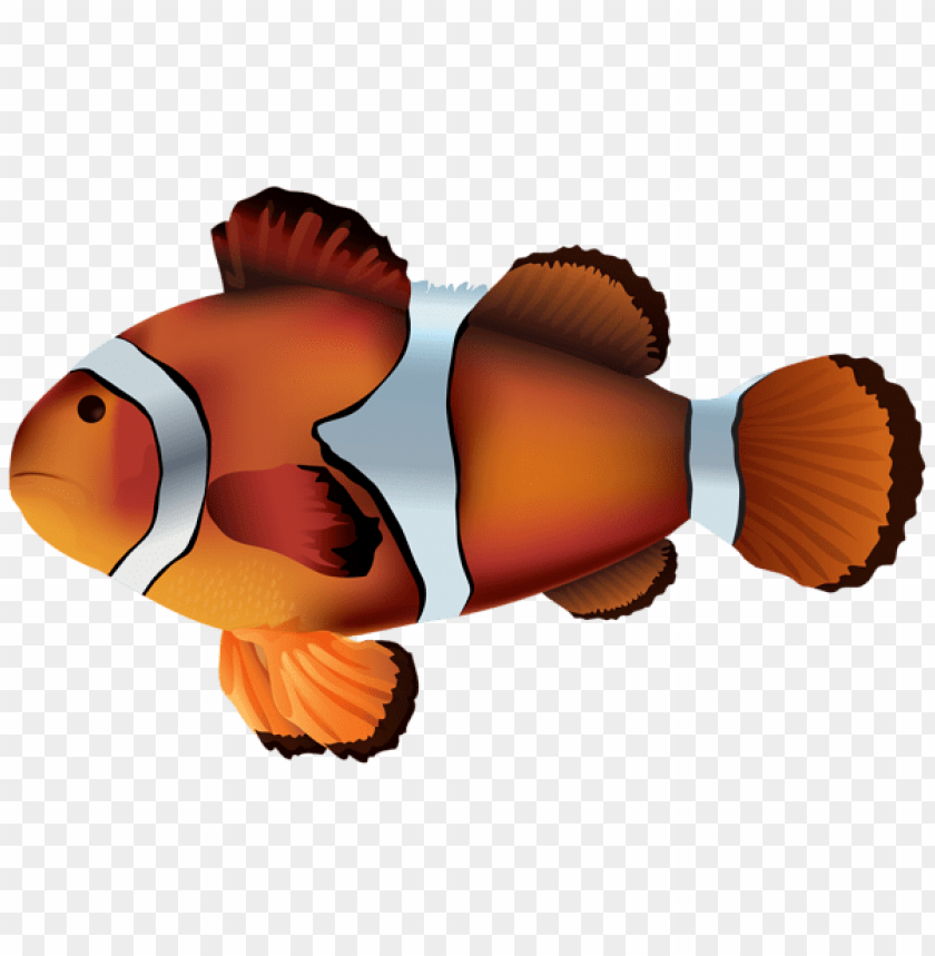 free PNG Download clownfish clipart png photo   PNG images transparent