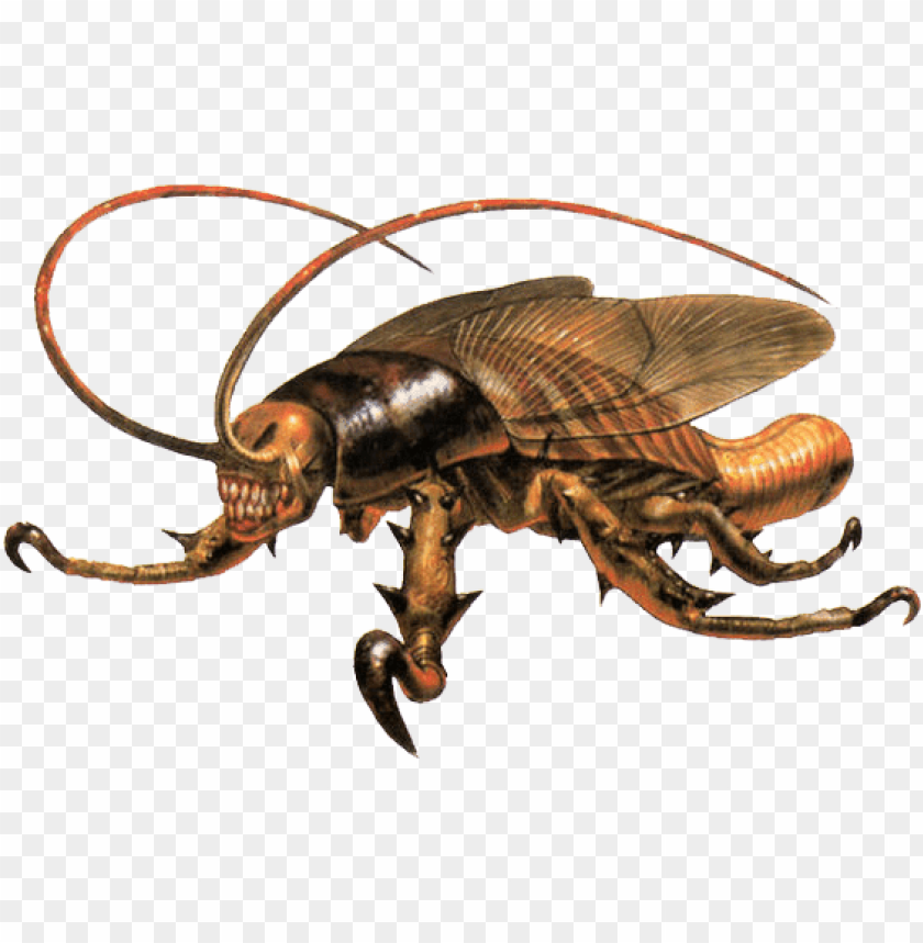 animals, insects, cockroaches, cockroach parasite eve, 