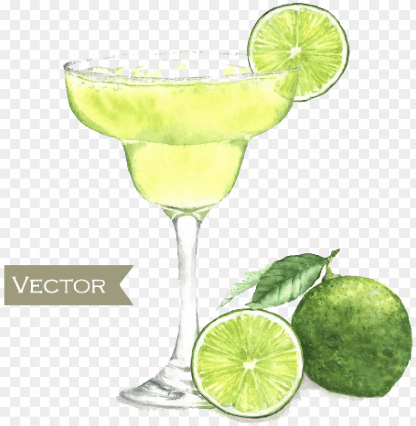 alcohol, drinks, watercolor flower, lemon, frame, water color, pattern