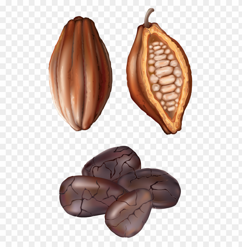 art, clip, cocoa, nut