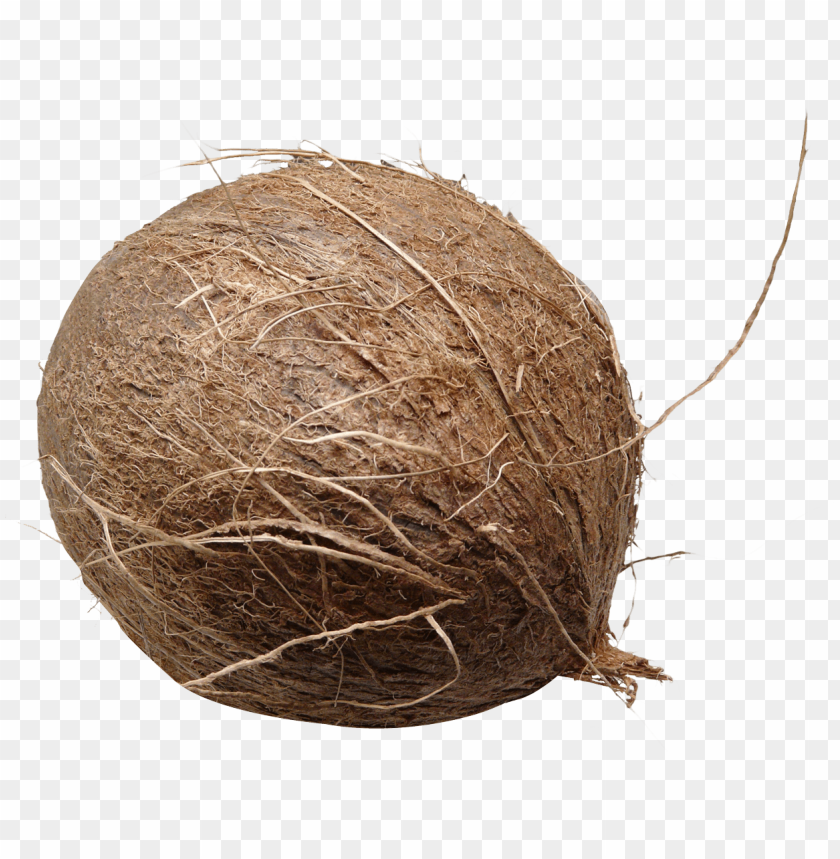 fruits, coconut