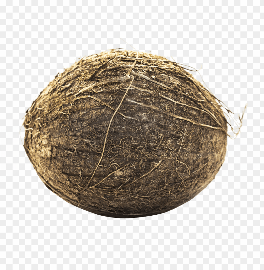 Coconut PNG Images With Transparent Backgrounds - Image ID 13461