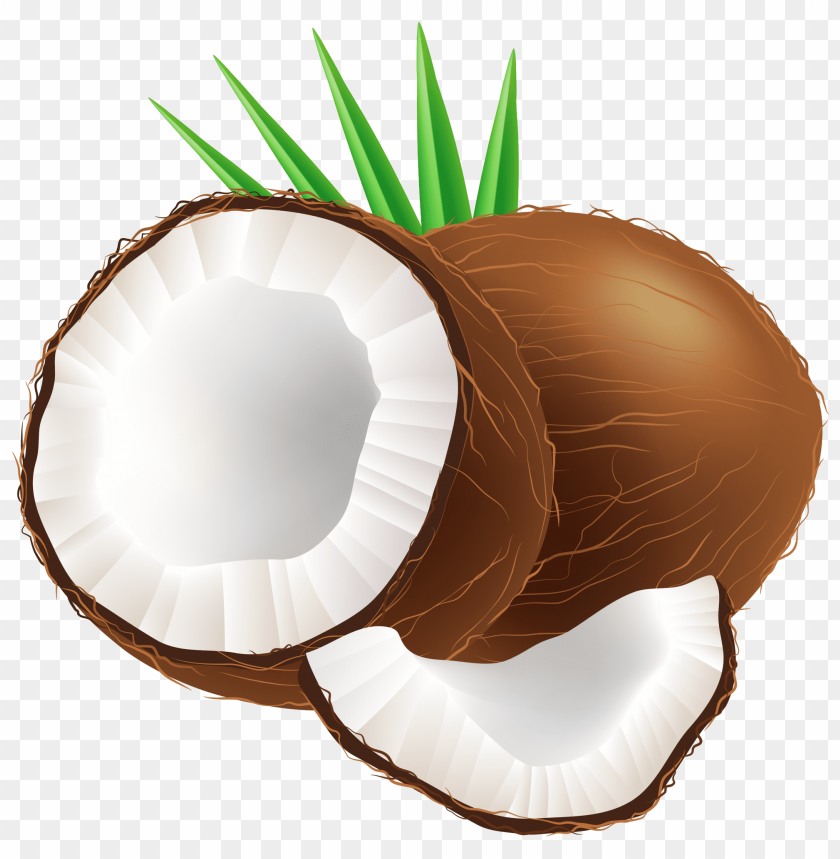 coconut, png