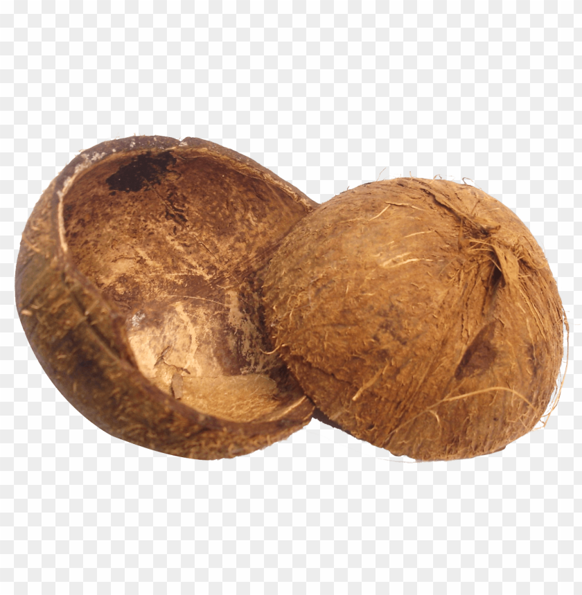  fruits, coconut, shell