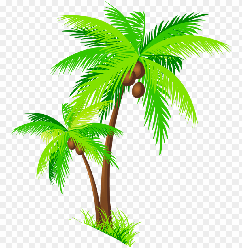 coconut tree, coconut, group of people, group icon, christmas tree vector, tree icon