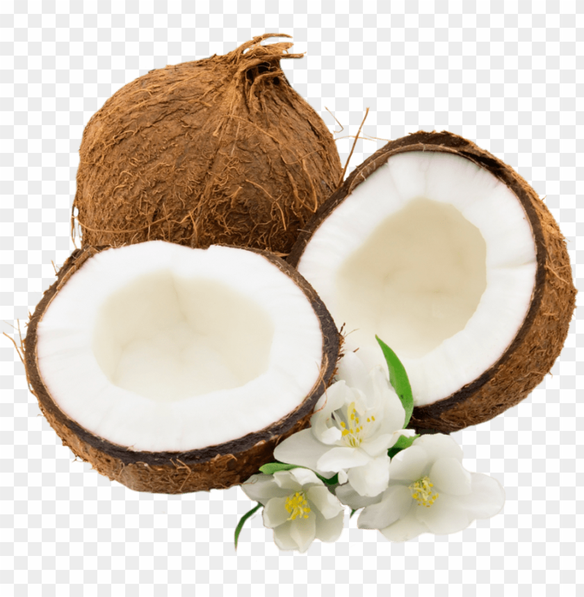 
coconut
, 
cocos nucifera
, 
genus cocos
, 
palm
, 
coconuts
