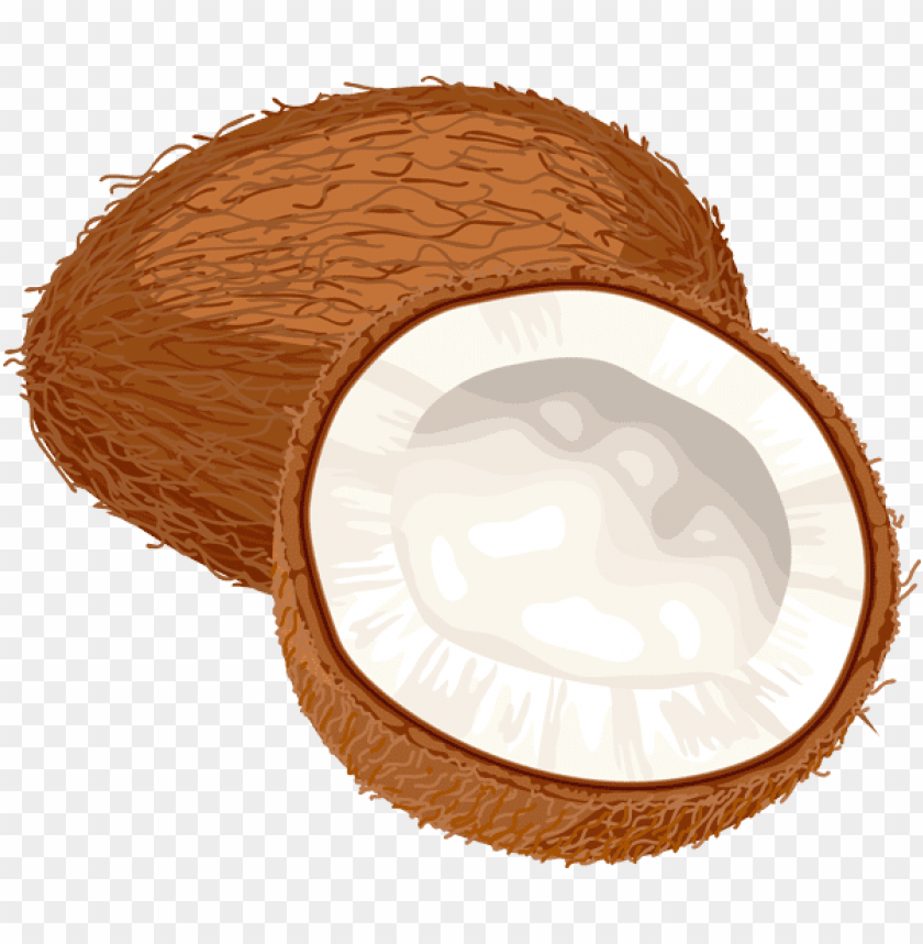 Free download | HD PNG Download coconuts clipart png photo | TOPpng