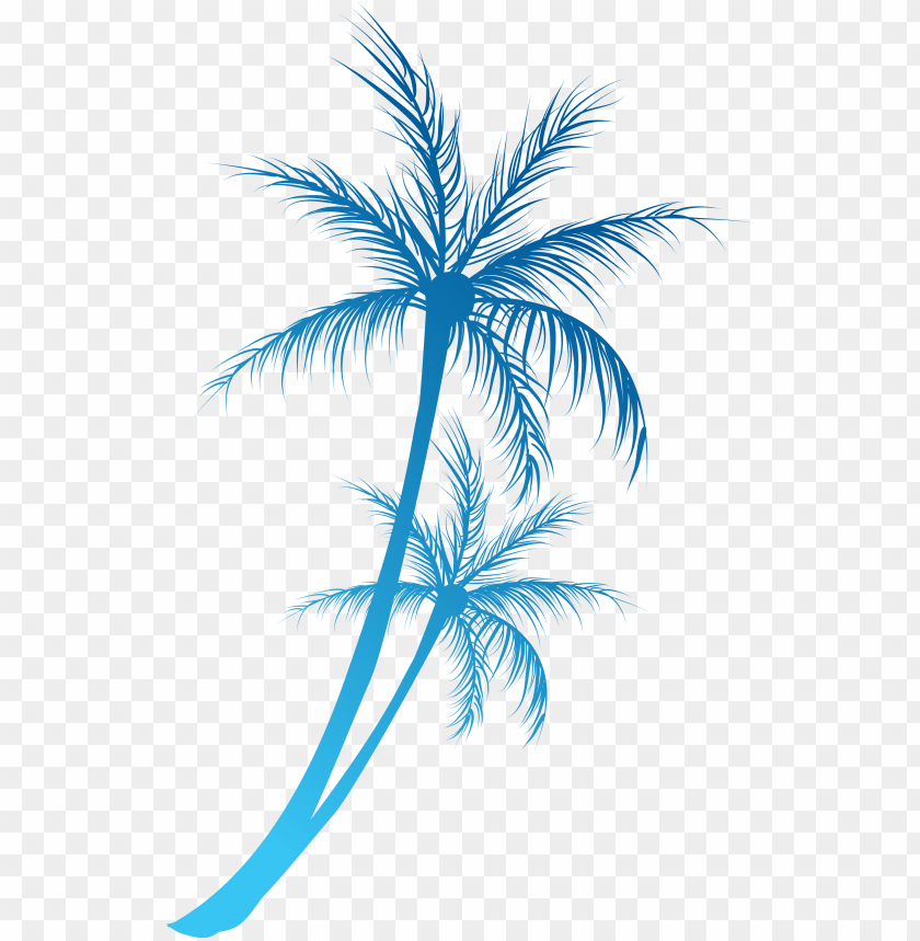 coconut, paint, palm tree, water splash, pharmacy, water, tree