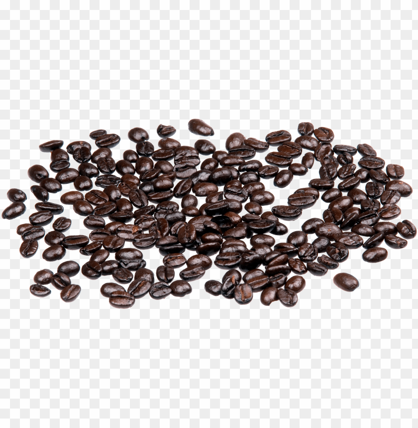 
coffee beans
, 
coffee
, 
stone fruit
, 
peaberry
