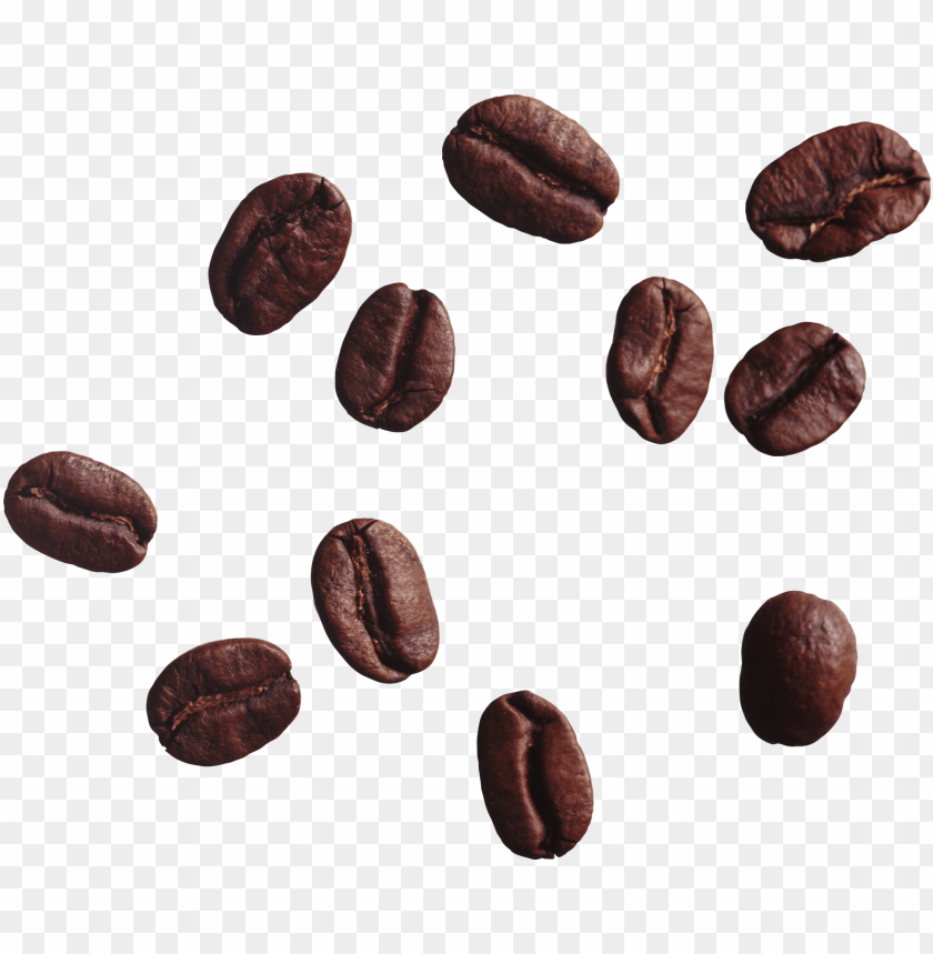 Download coffee beans png images background | TOPpng