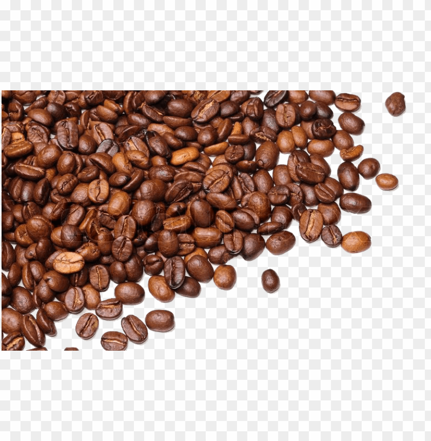 coffee beans PNG images with transparent backgrounds - Image ID 36605