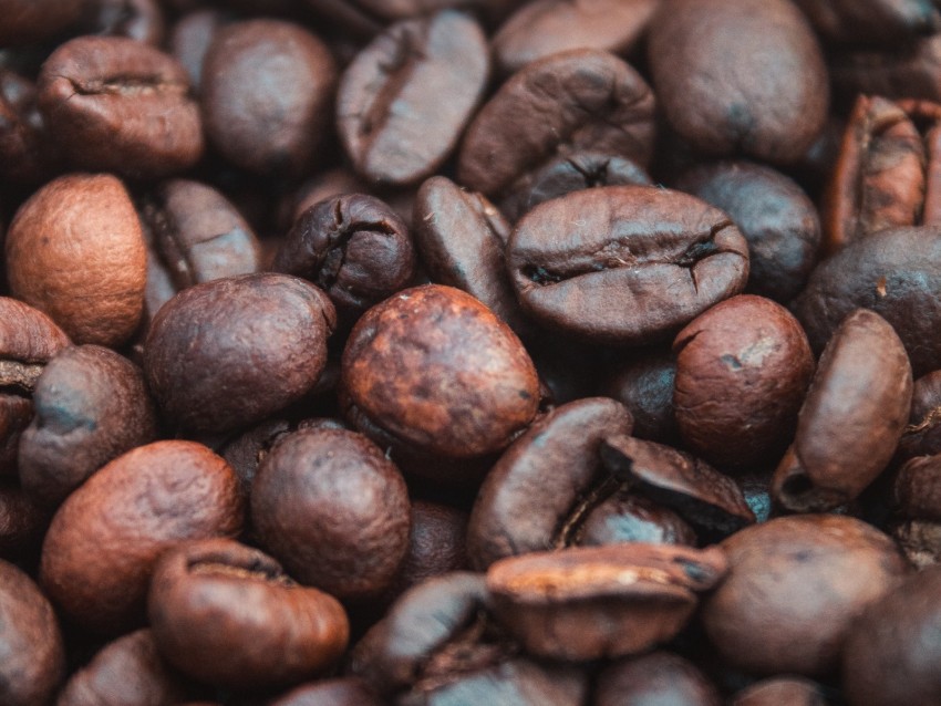 coffee beans, coffee, roasted, macro