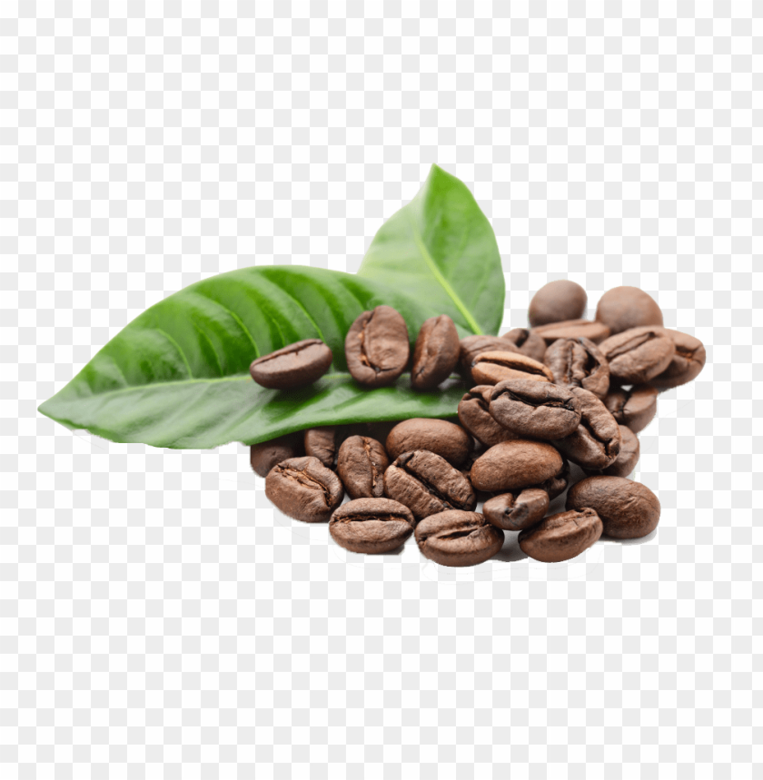 coffee beans,food