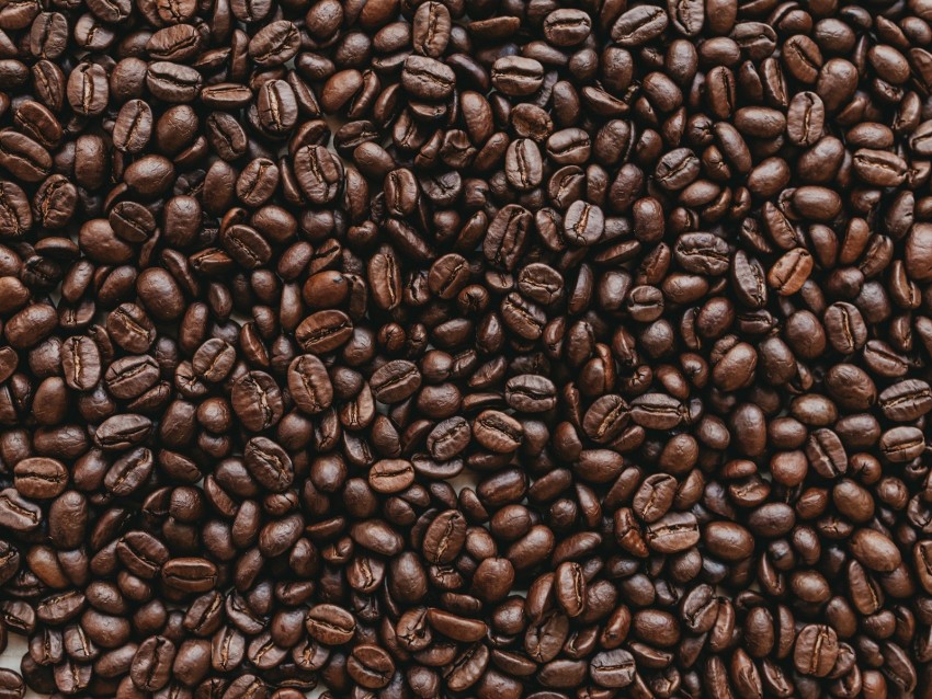 coffee, coffee beans, roasted, brown, dark