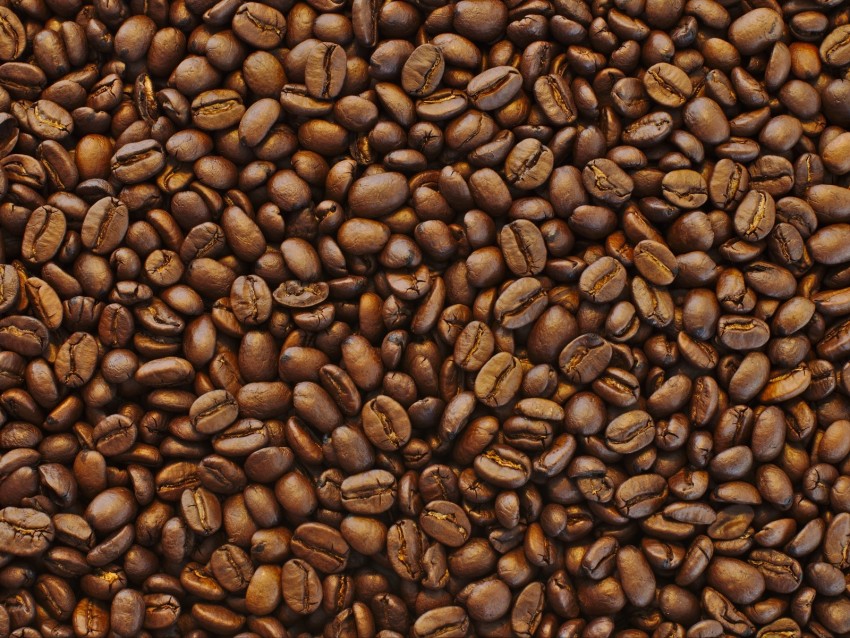 coffee, coffee beans, roasted, grains