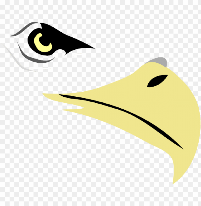 isolated, logo, eyes, frame, hawk, vector design, face