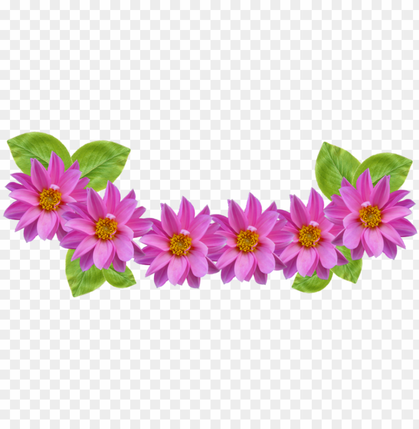 Collection Of Headband High Quality Free Snapchat Png - Flower Crown Png Transparent Free PNG Transparent With Clear Background ID 230867