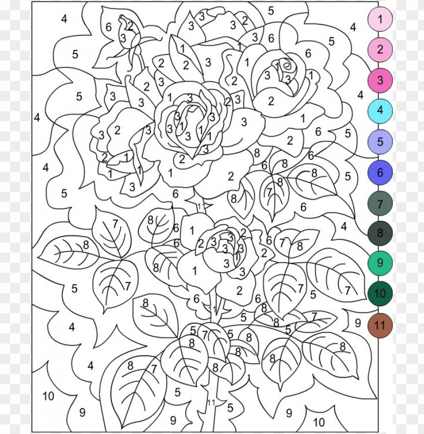 Color By Number Coloring Pages For Adults PNG Image With Transparent 