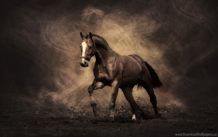 color, dust, horse, shadow, smoke wallpaper background best stock photos |  TOPpng