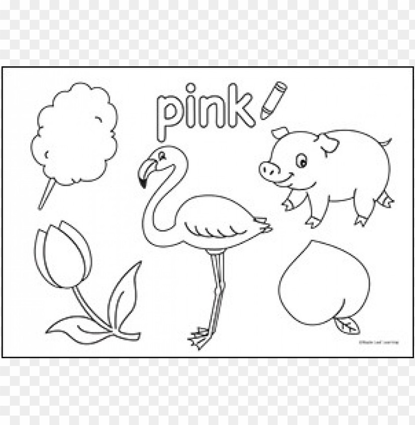 color pink coloring pages PNG image with transparent background | TOPpng