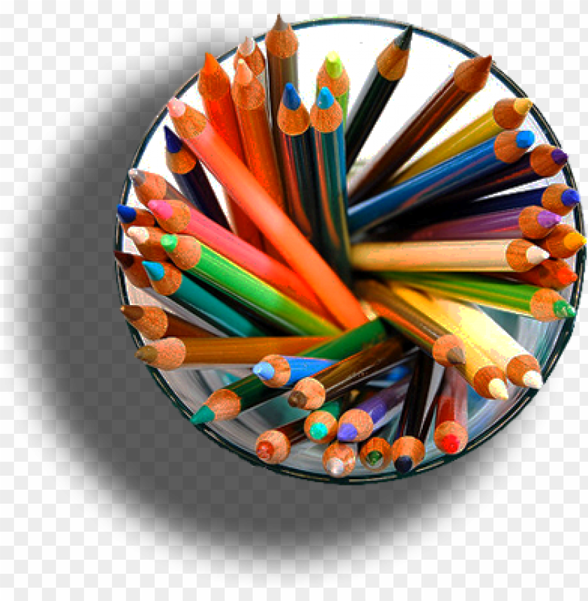 color, pen, isolated, pencil case, illustration, school, design