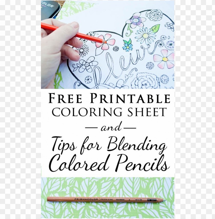 Colored Pencil Coloring Pages PNG Image With Transparent Background