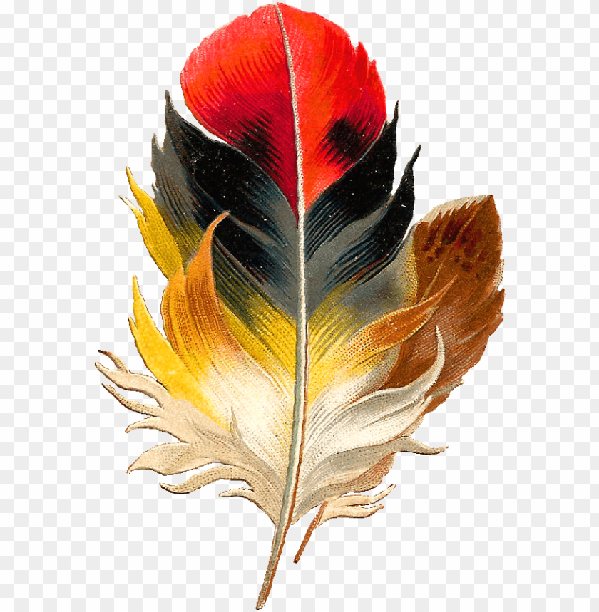 colored pencil, colored smoke, phoenix bird, twitter bird logo, falling feathers, big bird