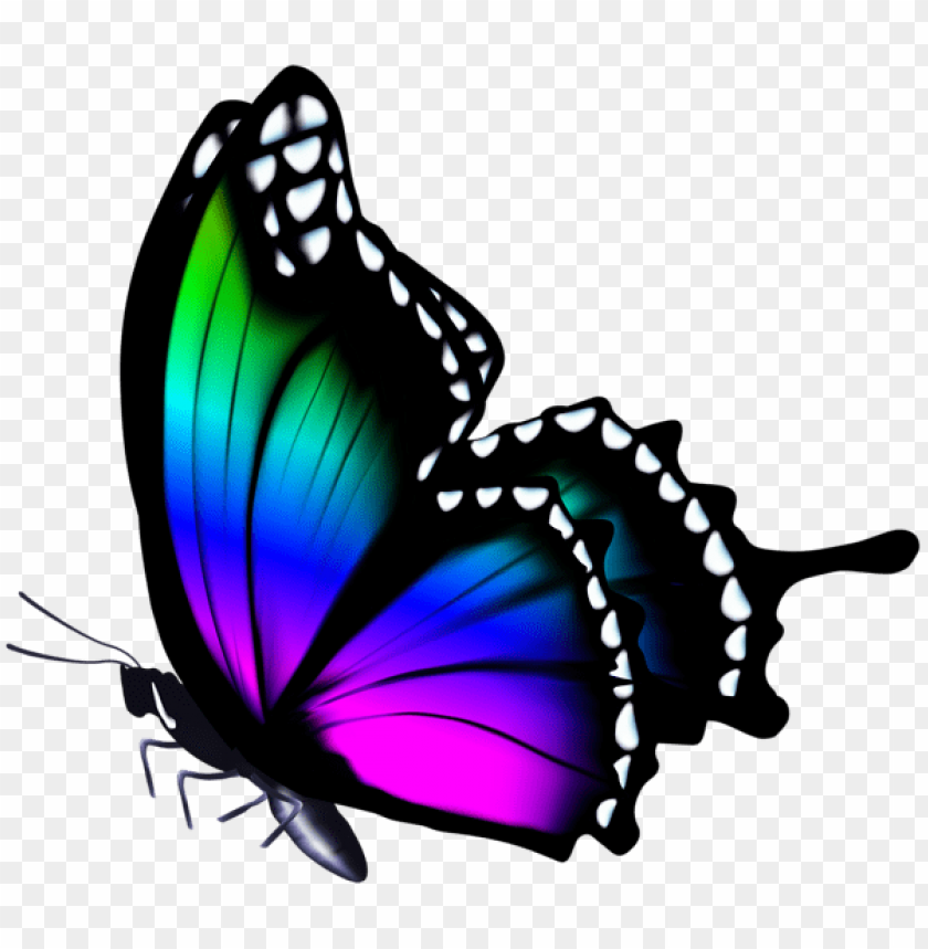 Download Colorful Butterfly Clipart Png Photo Toppng