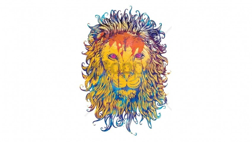 colorful drawing king king of beasts lion wallpaper background best stock photos - Image ID 145051