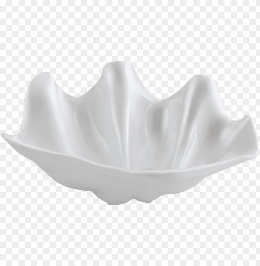 Download Conch Clipart Png Photo  