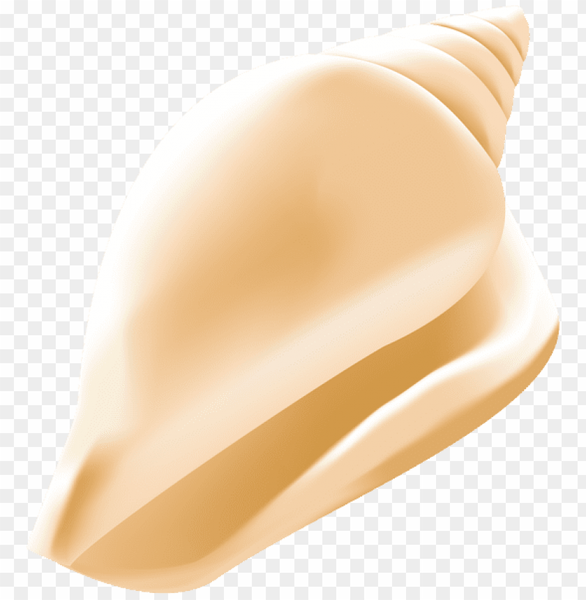 free PNG Download conch shell clipart png photo   PNG images transparent