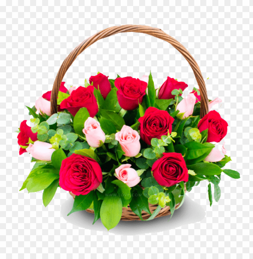 PNG image of congratulation flower transparent with a clear background - Image ID 8721