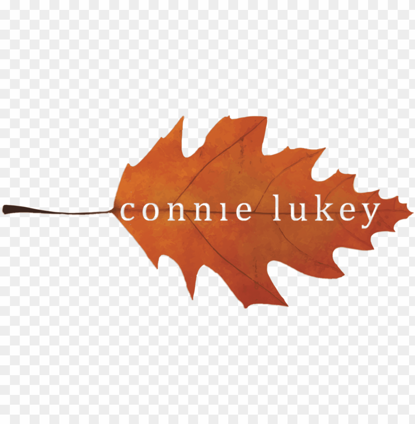 Contact Me - Autum PNG Transparent With Clear Background ID 395466