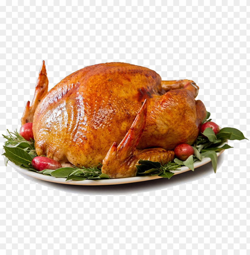 cooking, christmas tree, thanksgiving, christmas background, kitchen, santa, bird