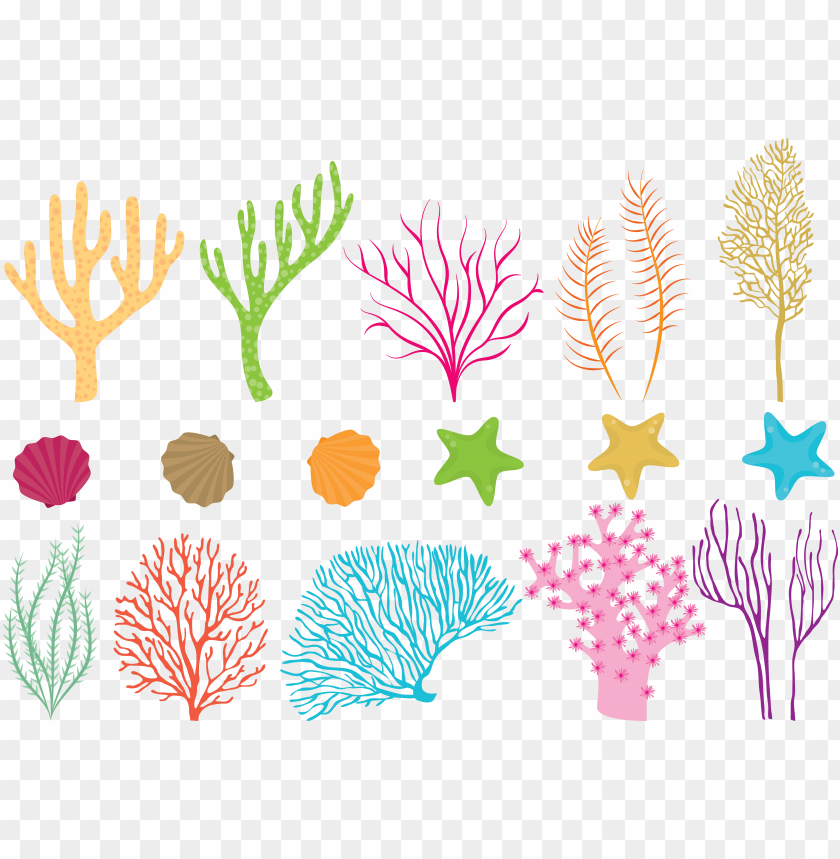 Coral Reef Png Clipart Black And White Stock Coral Reef Vector Free Download Png Image With Transparent Background Toppng