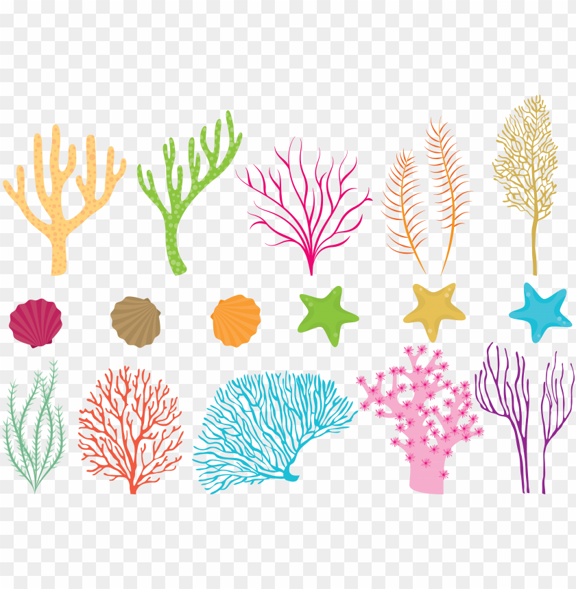 coral reef png clipart black and white stock coral reef vector free download PNG transparent with Clear Background ID 274444