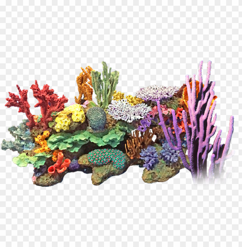 corals png PNG transparent with Clear Background ID 121518