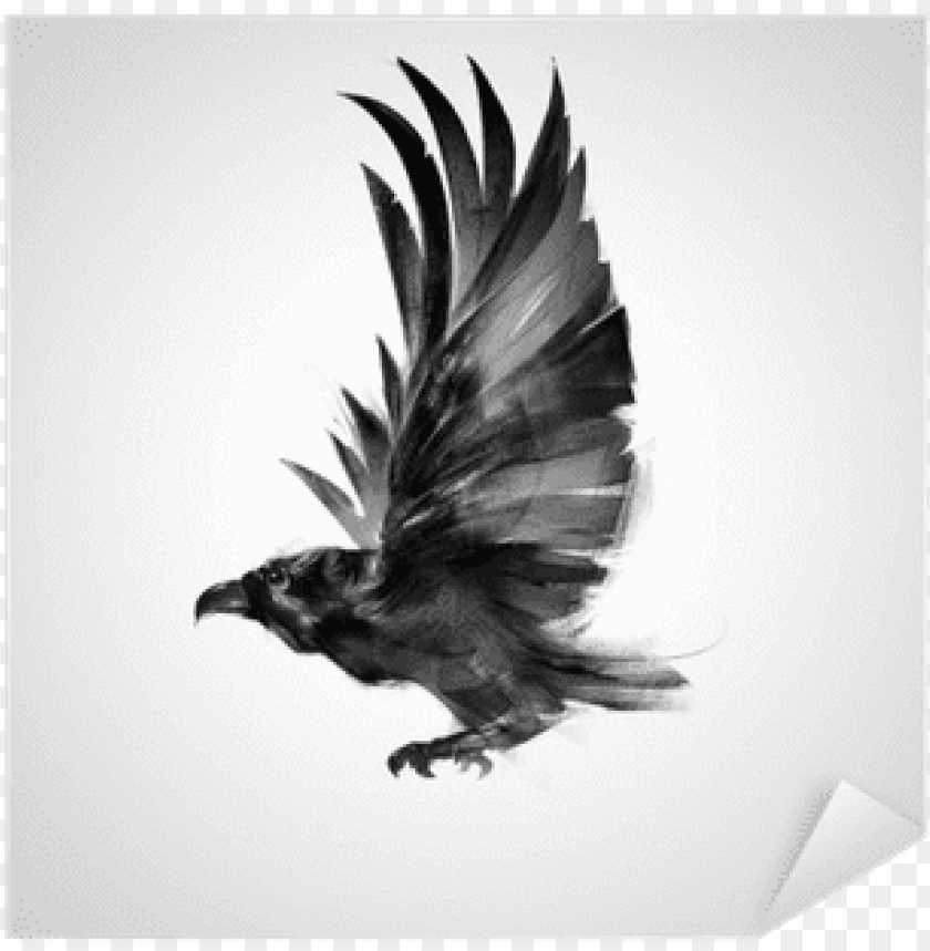 superman flying, phoenix bird, twitter bird logo, sticker, flying cat, big bird