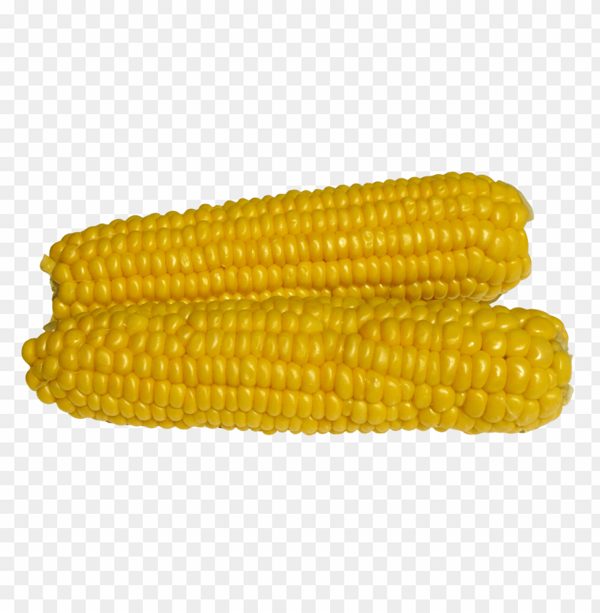 
vegetables
, 
corn
, 
maize
, 
sweet corn
, 
grain
, 
dent corn

