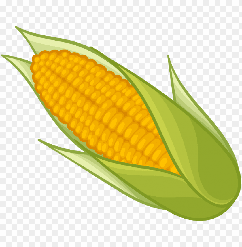 corn png clipart clipart corn on the cob PNG transparent with Clear Background ID 284801